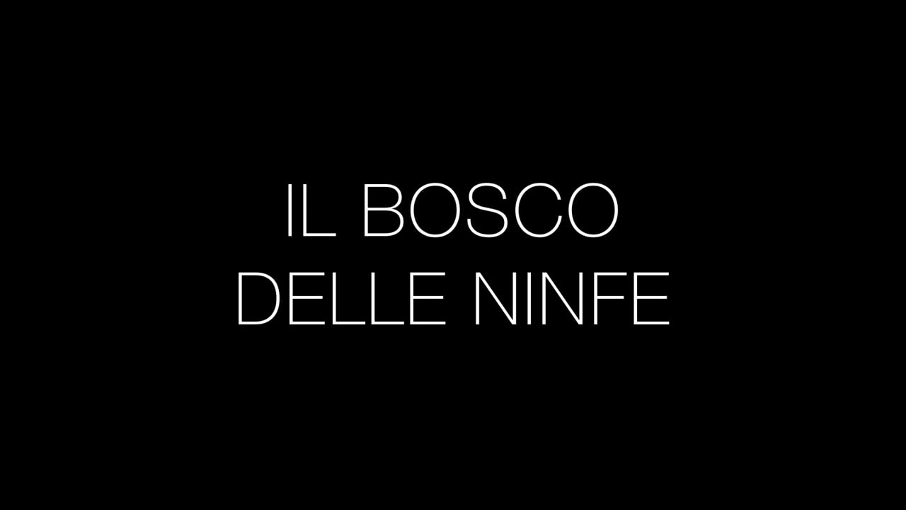 Ale Guzzetti - The Forest of Nymphs - Teatro UFO - Saronno 2022