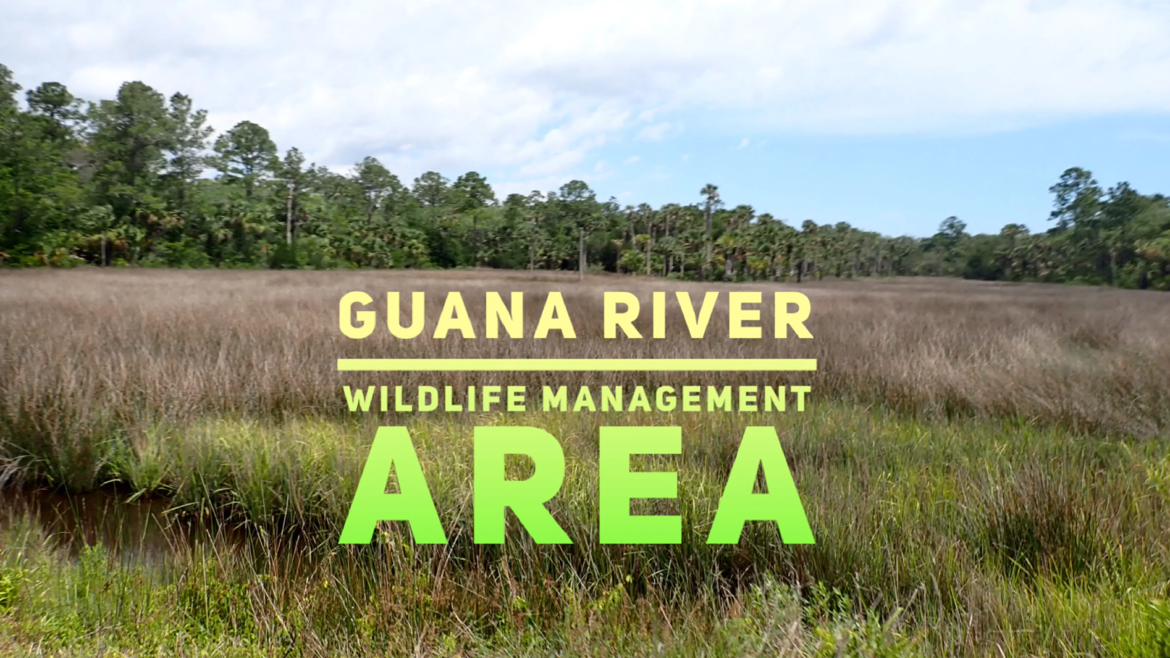 Guana River WMA on Vimeo