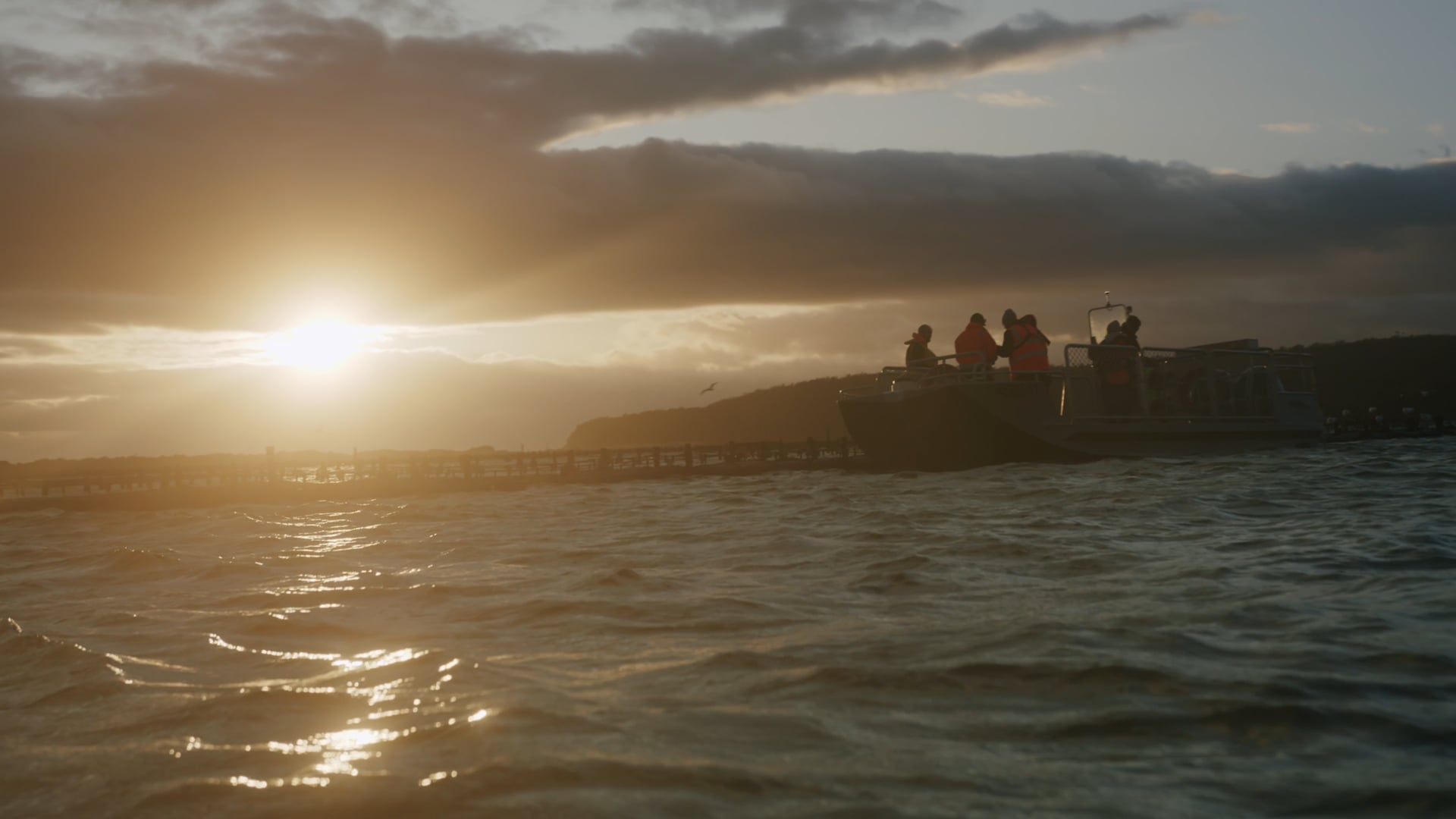 Tasmanian Oyster // The Tasmanian Mark