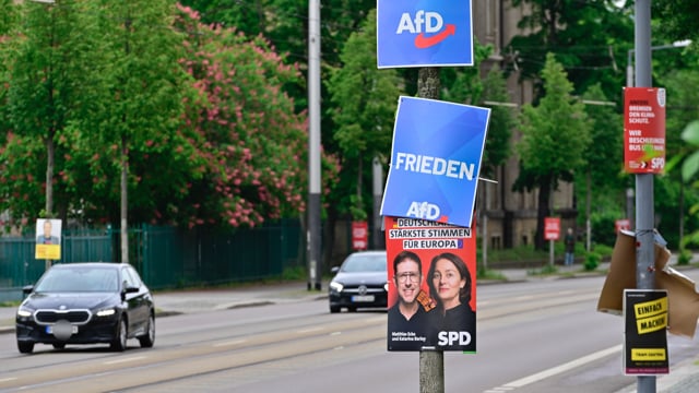 Europawahl: Kann die AfD Migranten für sich gewinnen?
