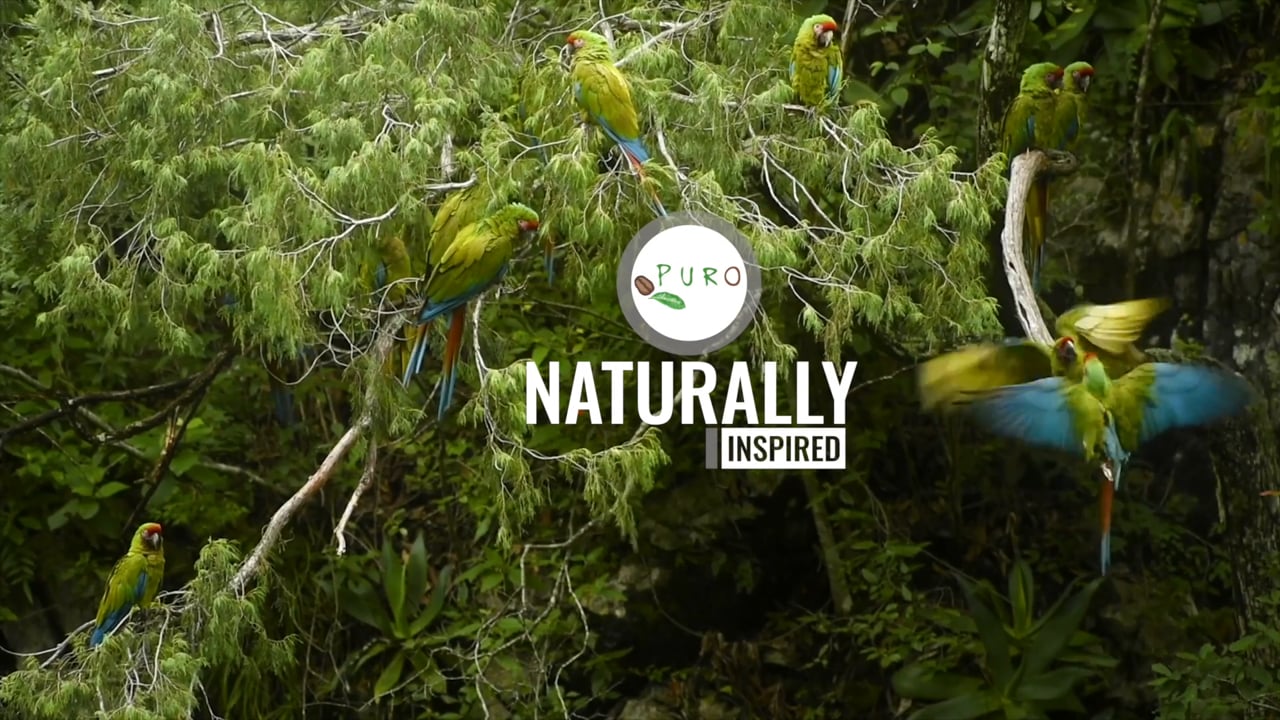 good coffee, it's in our nature