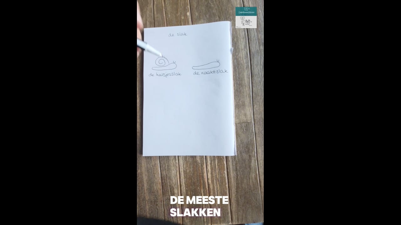 Slak huisjesslak- naaktslak, tweeslachtig, weekdier land en zee