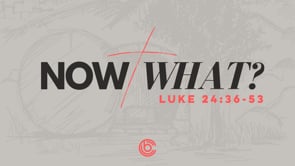What Now? | David Chan