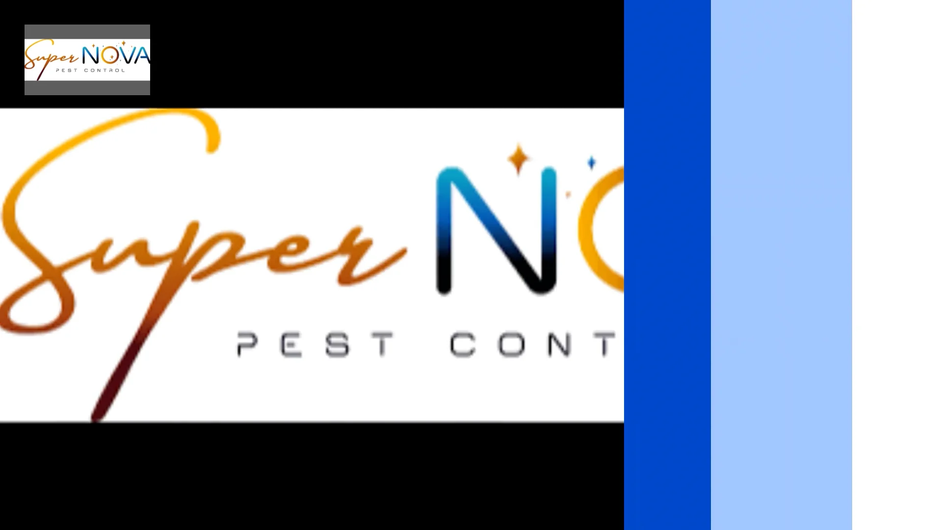 Roach Population Control For Homes & Businesses Coeur d’Alene Pest ...