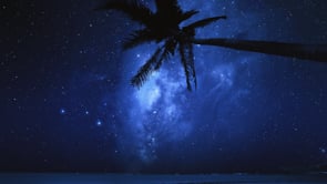 social header
