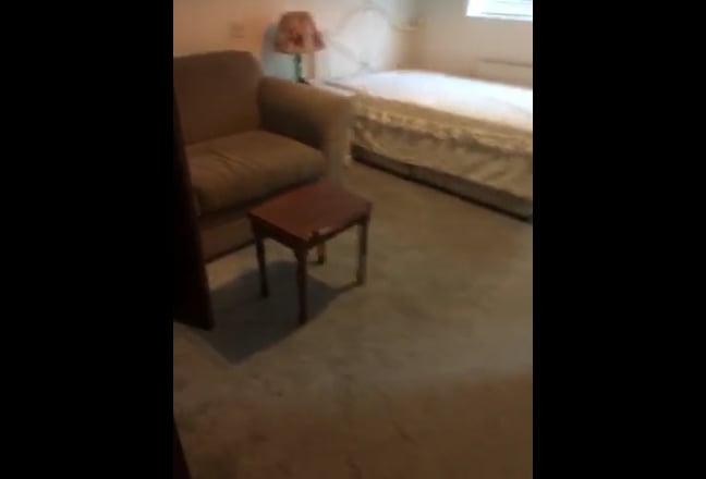 Video 1: C