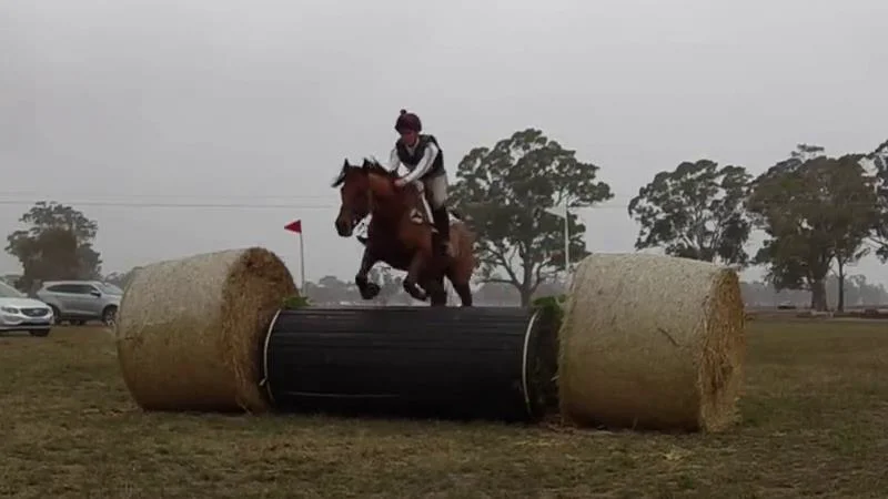 Charlotte Treloar riding Allandro 22 CCN1 Naracoorte EA Horse Trials ...