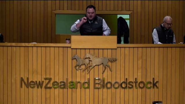 NZB Standardbred 2024 National Weanling Sale - Lots 16 - 25