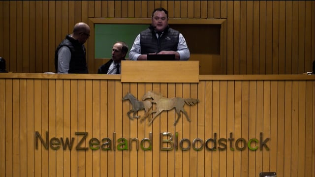 NZB Standardbred 2024 National Weanling Sale - Lots 26 - 34