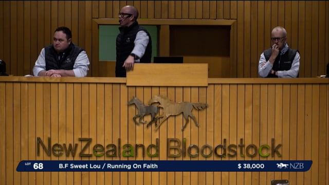 NZB Standardbred 2024 National Weanling Sale - Lots 68 - 77