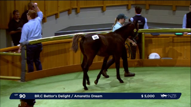 NZB Standardbred 2024 National Weanling Sale - Lots 86 - 94