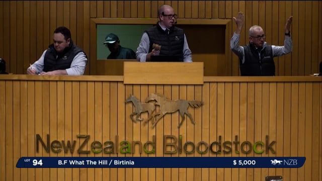 NZB Standardbred 2024 National Weanling Sale - Lots 94 - 102