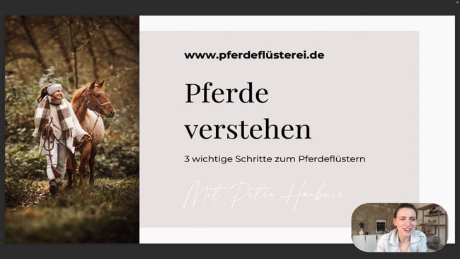 Pferde Verstehen