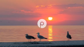 Leading Global Fortune 100 Insurance Company - Customer Success Story (Gina Whitehead - Chief of Staff)