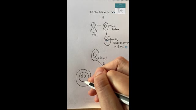 Chromosomen: verschillende organismen, 1 paar, chromosoomsparen 5
