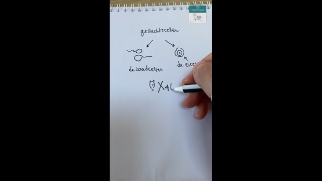 Geslachtscellen: geen chromosoomparen, bevruchting 6