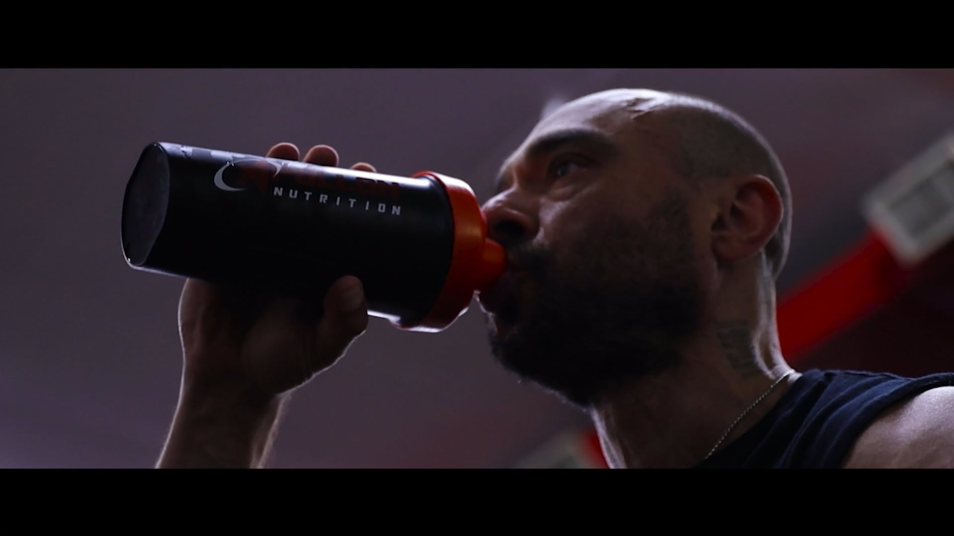 Apollon Nutrition - Bloodsport
