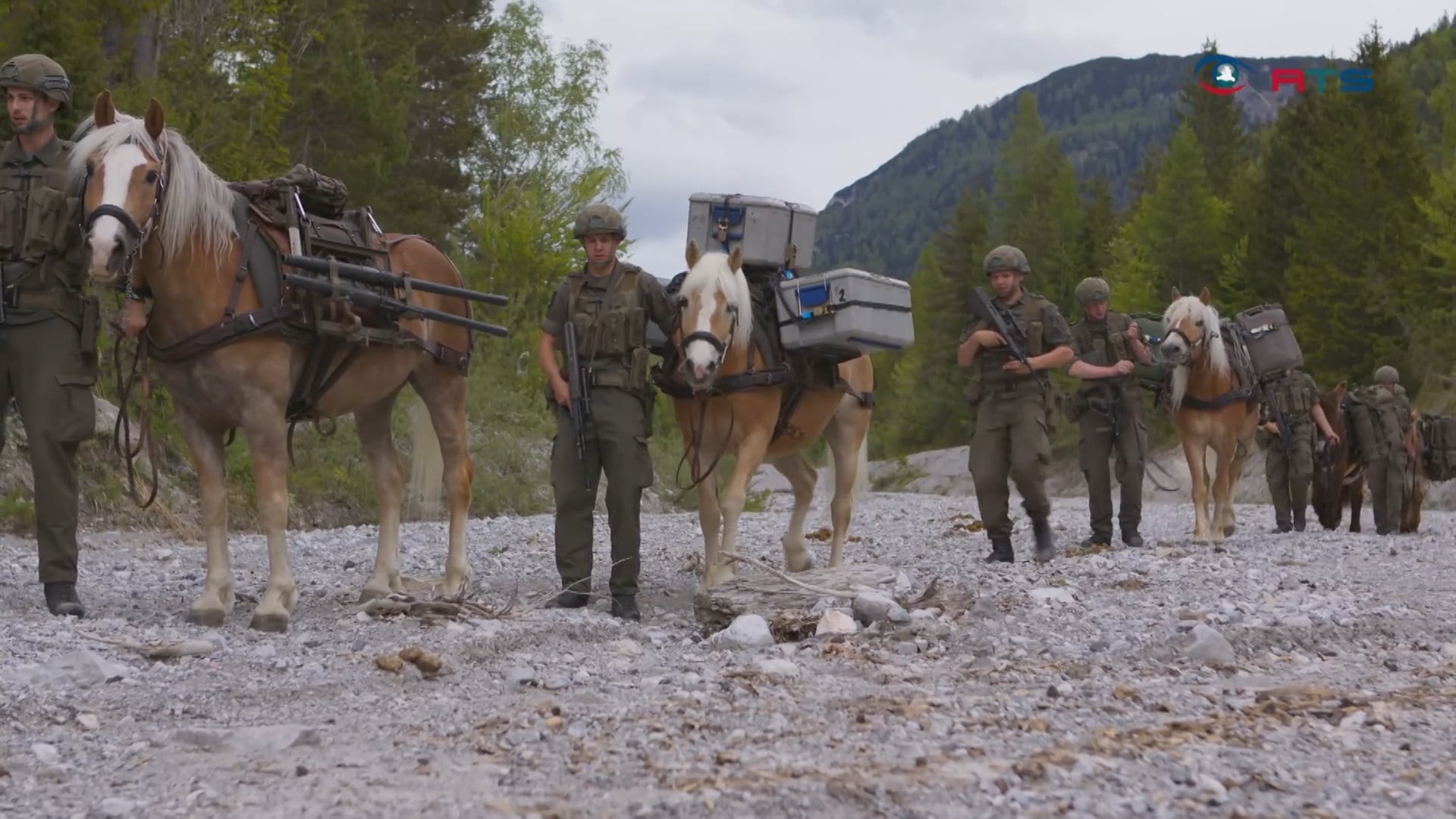 haflinger-und-esel-im-einsatz-tragtierzentrum-hochfilzen