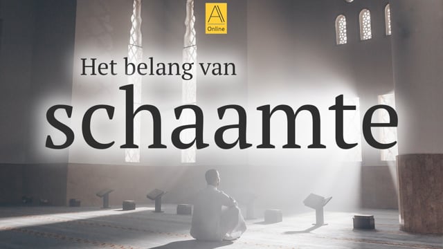 Het belang van schaamte