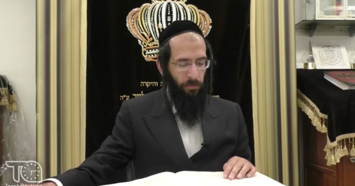 R' Hertzka Greenfeld | 23 Minutes A Daf: Bava Metzia 87