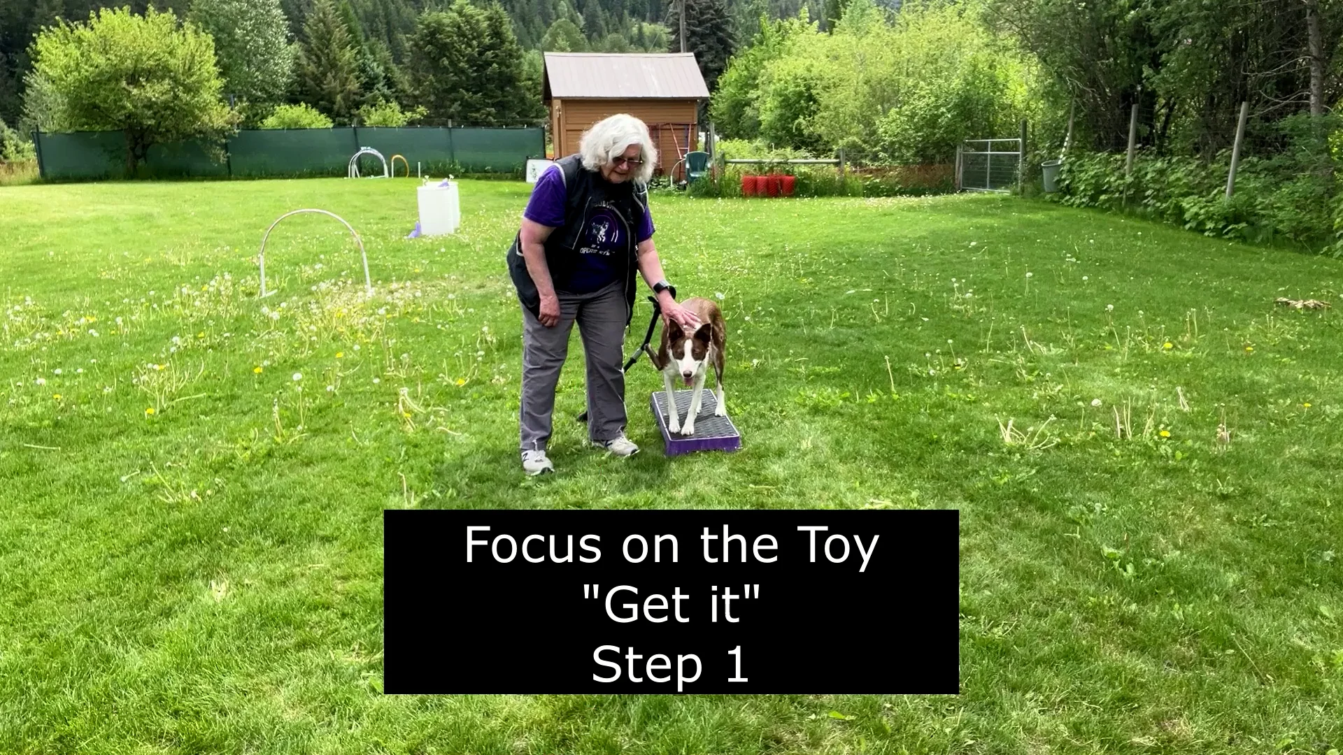 Focus on the Toy Step 1 on Vimeo