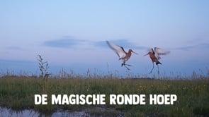 Documentaire in the making over de Ronde Hoep