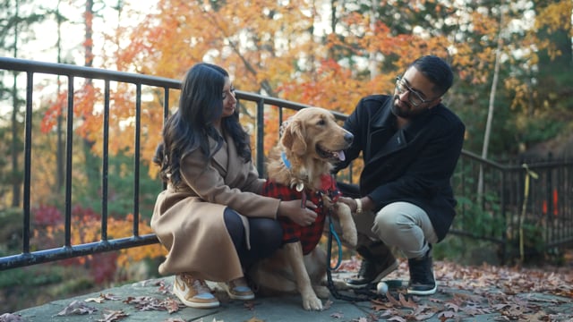 Still from Paras & Summin next day edit by Happy Soul Films, Toronto wedding videographers