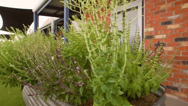 Green Leaves Early Learning Bacchus Marsh video thumbnail 11