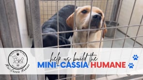  Why Do We Need a Mini-Cassia Humane?