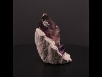 49841 - Amethyst