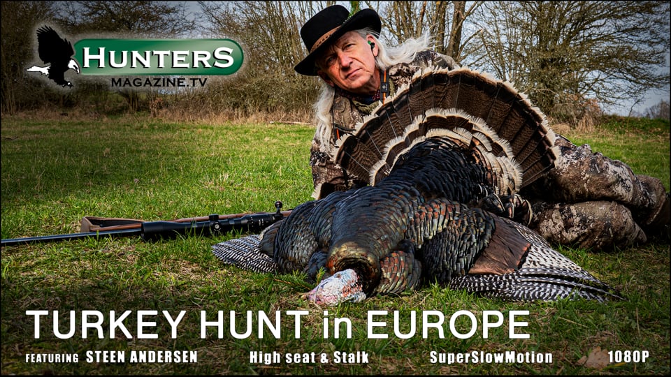 Turkey hunt in Europe