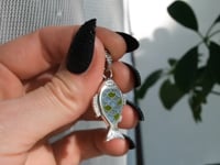 Enamelled fish