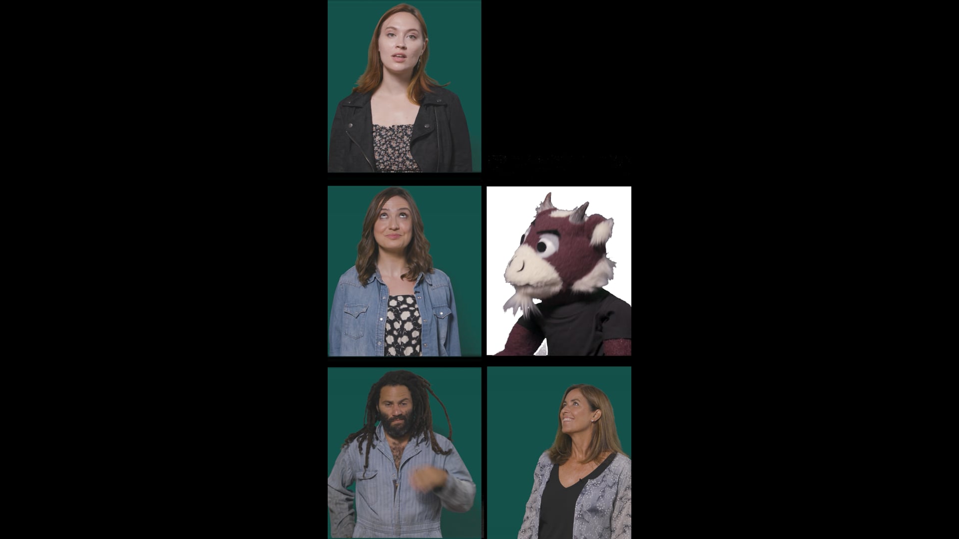 Brady Bunch Campaign