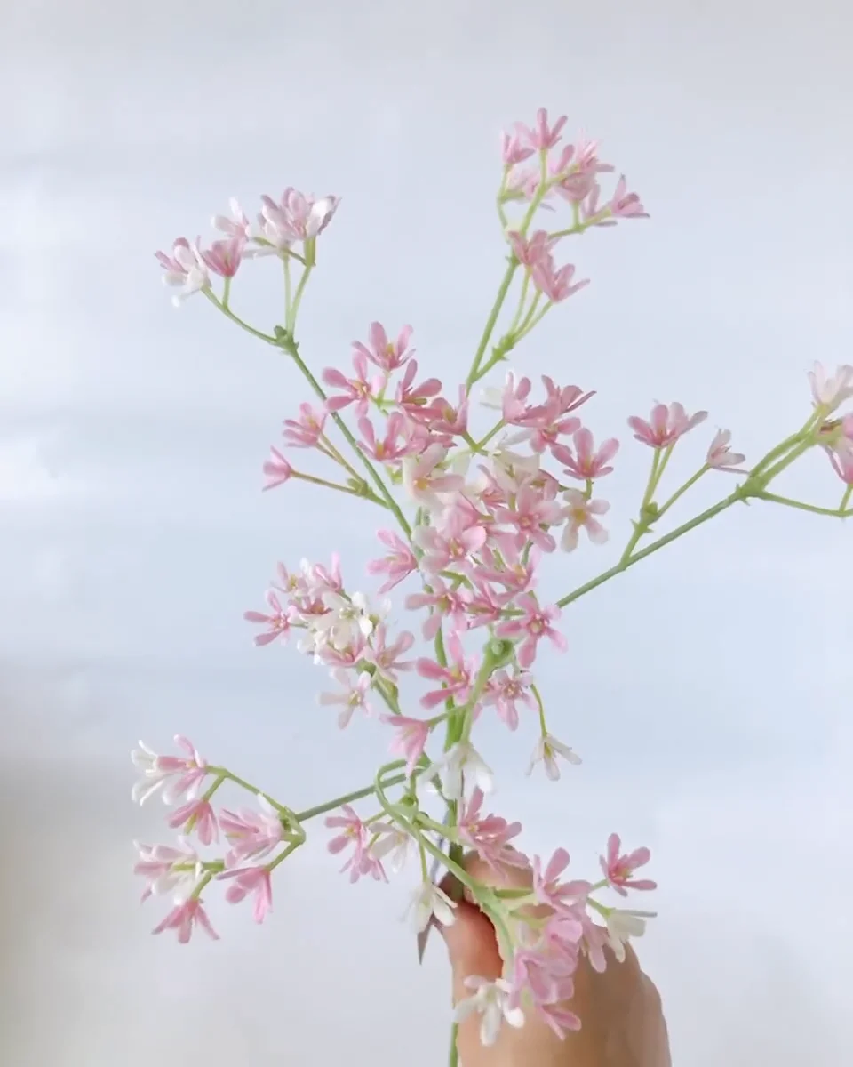 ﾍﾞﾋﾞｰﾌﾗﾜｰｽﾌﾟﾚｰ: 造花（アーティフィシャルフラワー） ｜ YDM