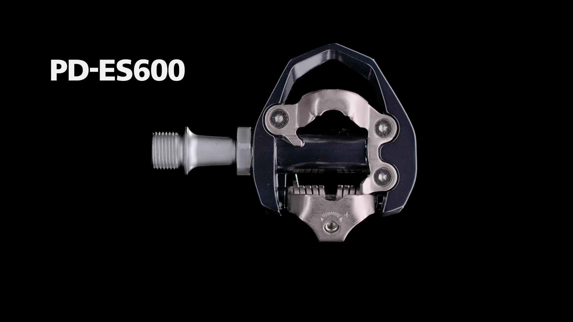 PD ES600