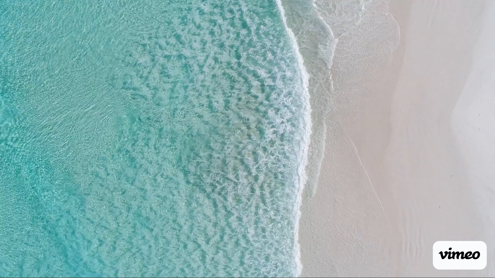 https://i.vimeocdn.com/video/1860695580-87065e104b1355cb61c4b257bfbd73158fad5385d7ceb34b5fe39f925c0805d3-d