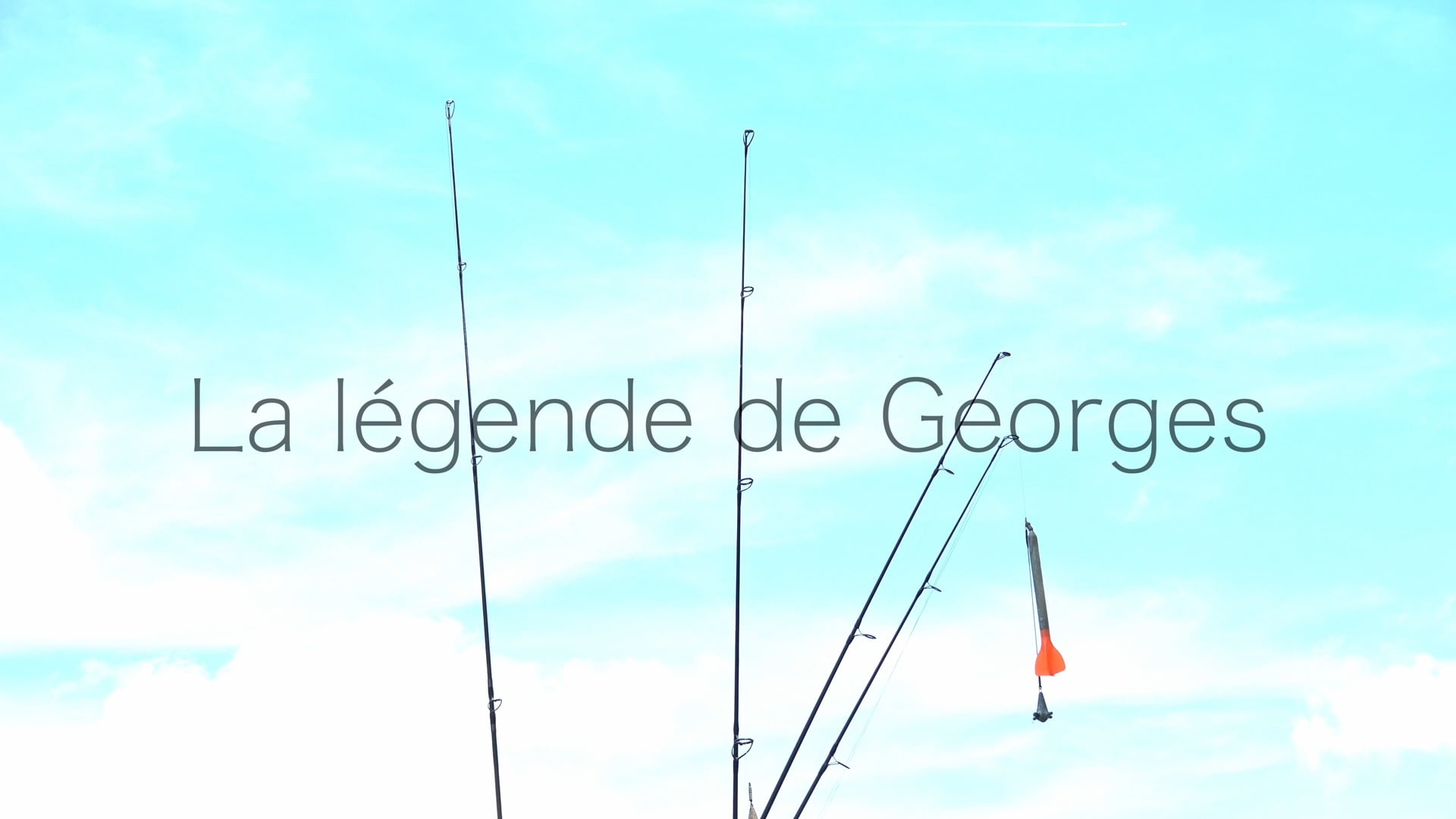 08_LEGENDE_GEORGES_HDST