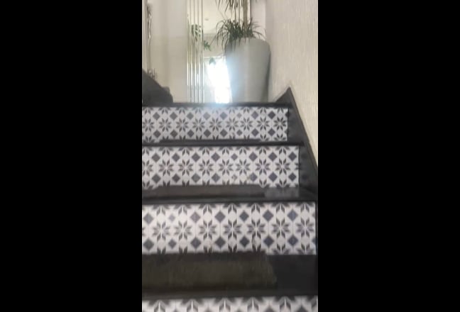 Video 1: