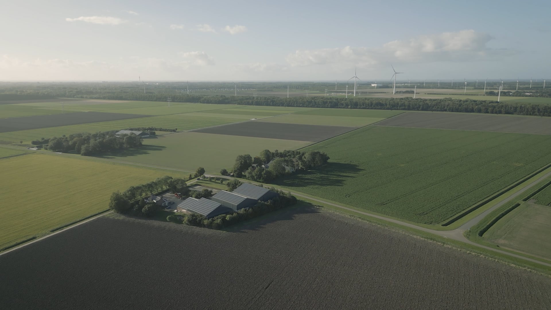 Zeeasterweg Farmer Cluster