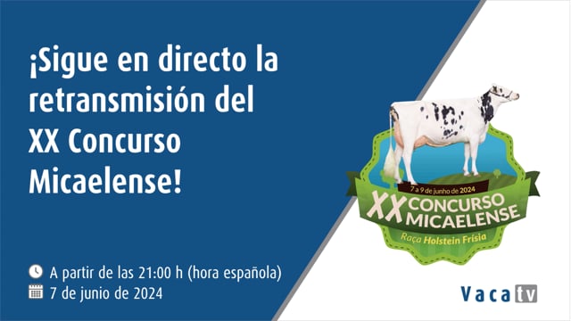 Sigue o concurso en directo dende a nosa web
