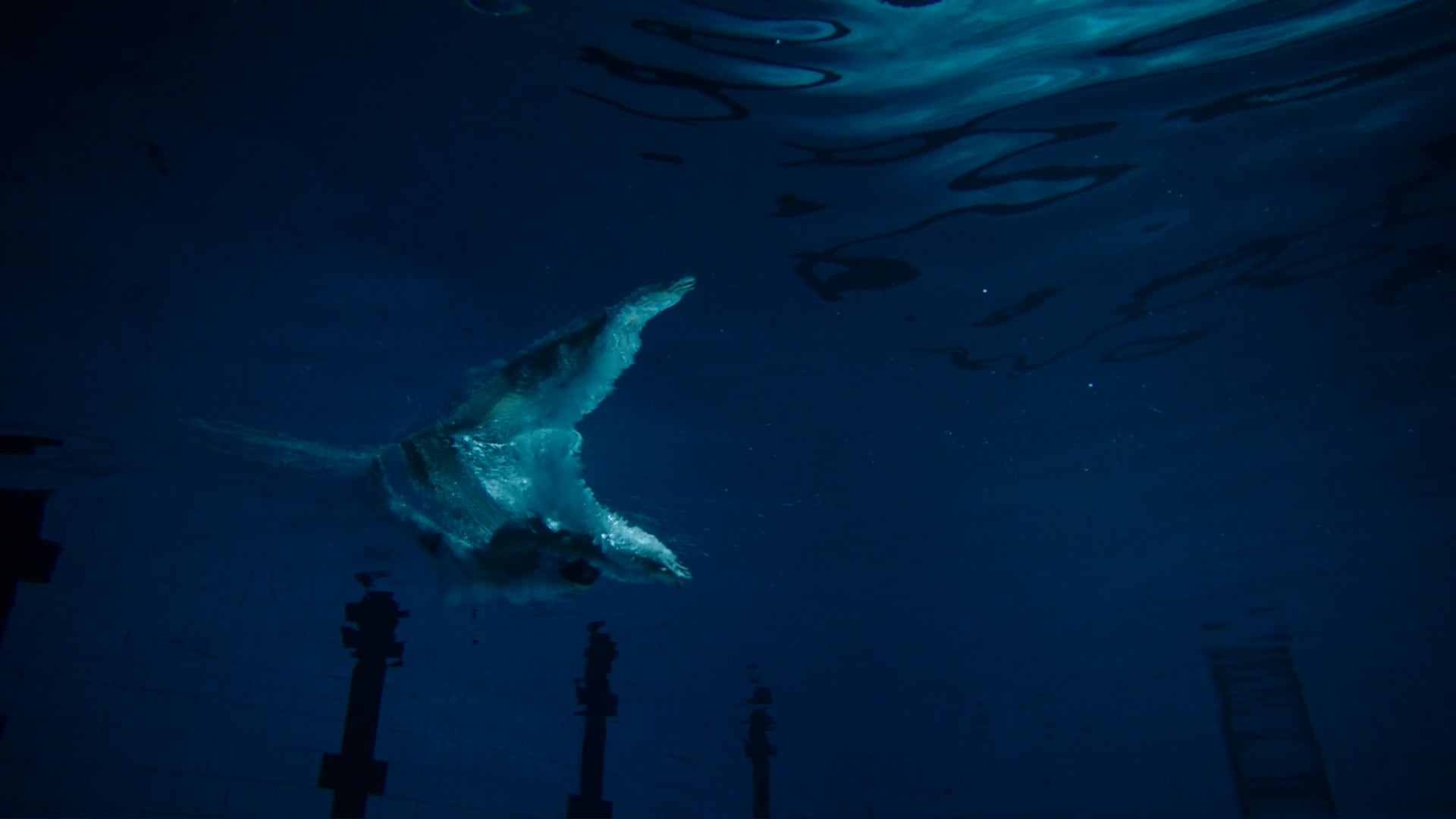 Thumbnail de la vidéo