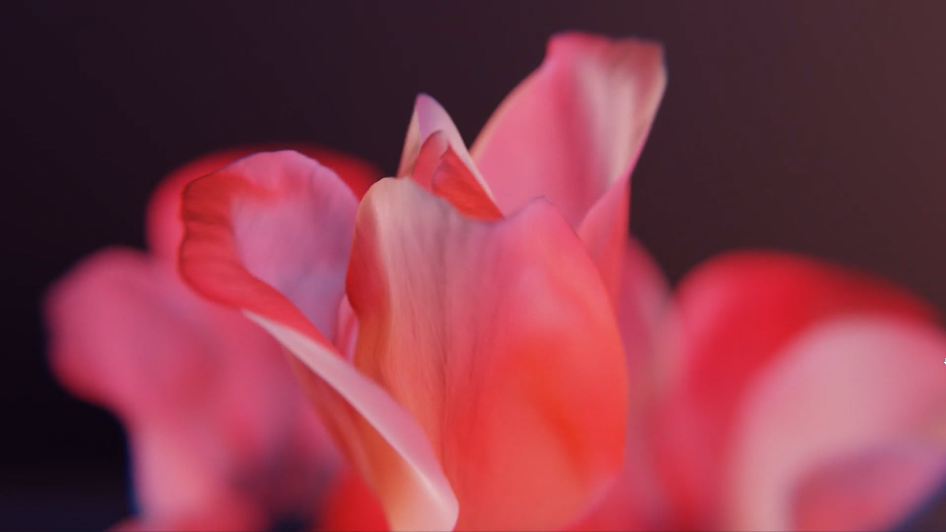 Thumbnail de la vidéo