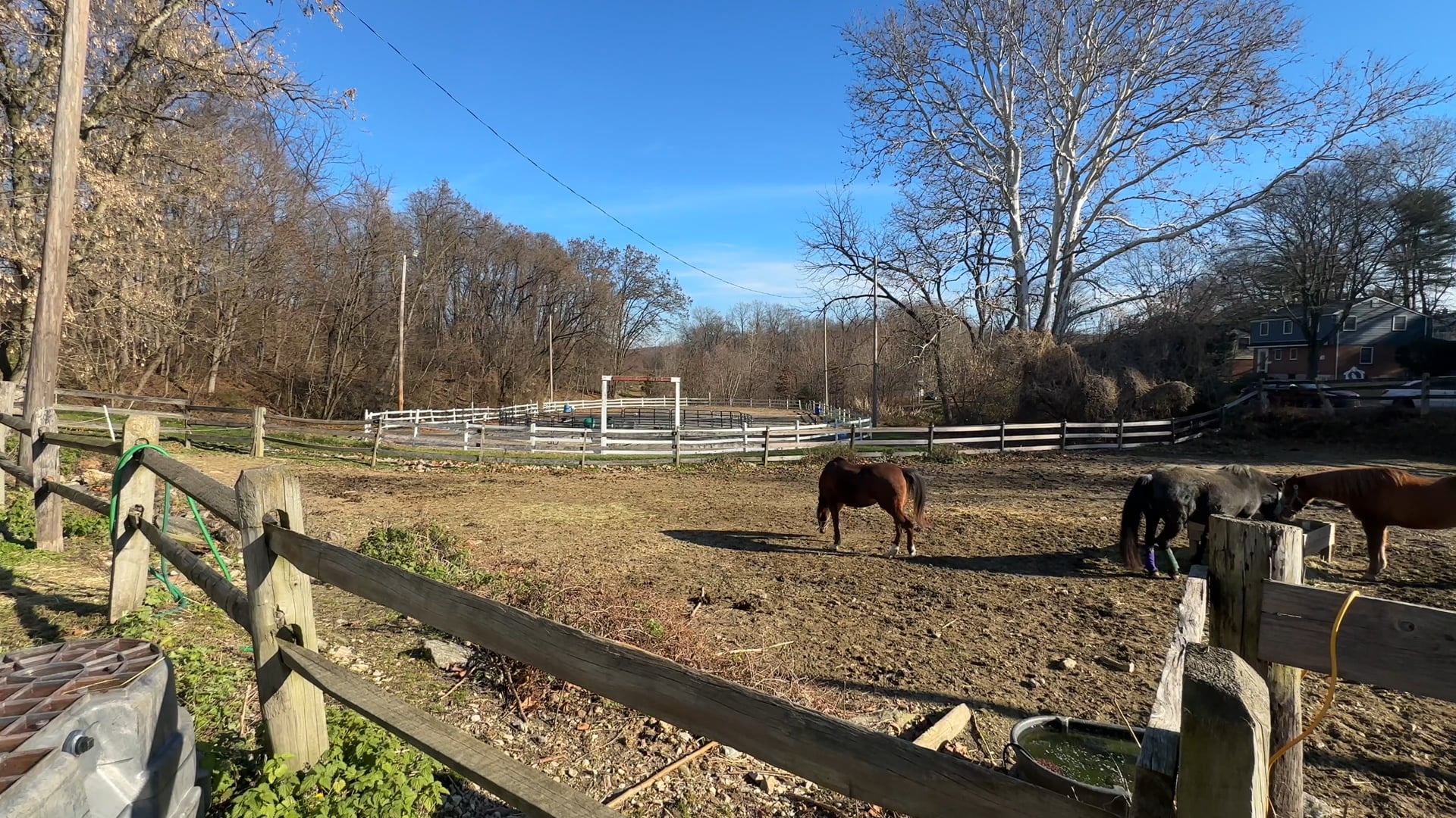 Courtesy Stable