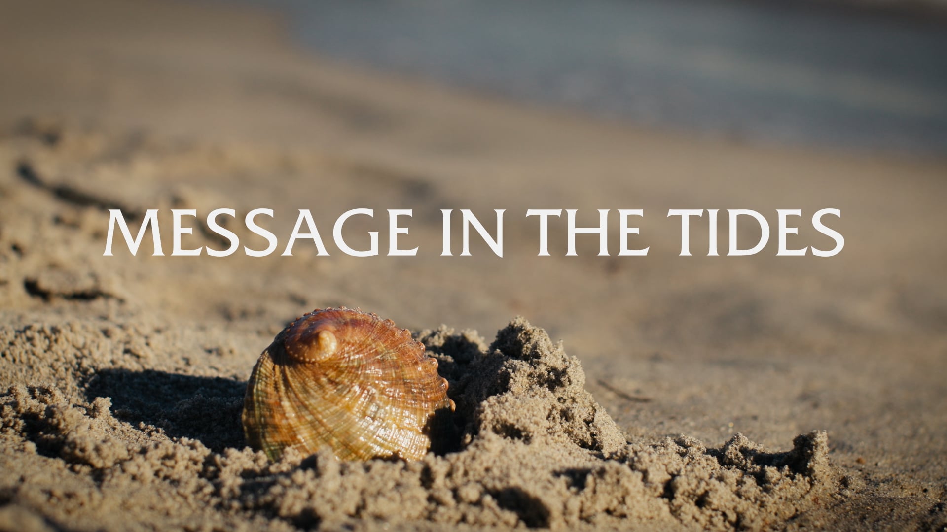 Message in the Tides