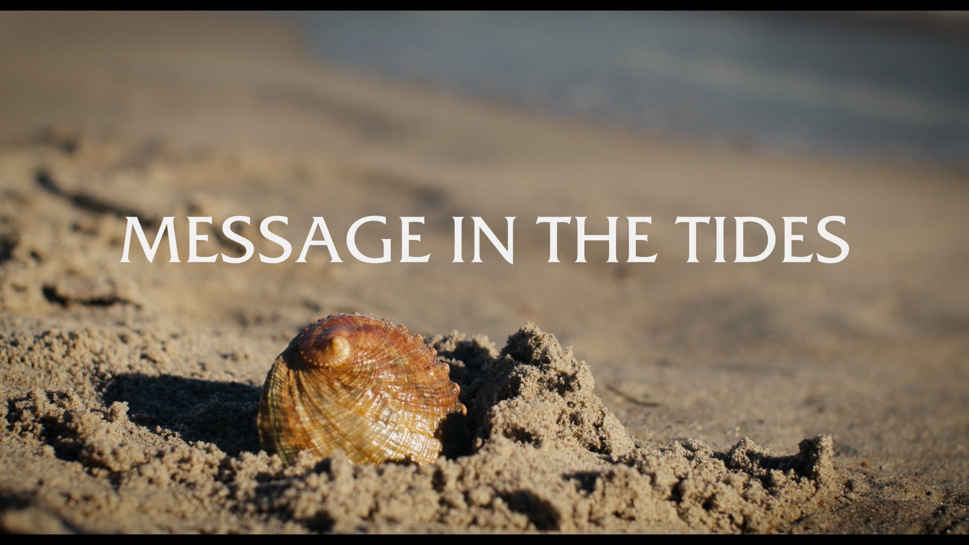 Message in the Tides