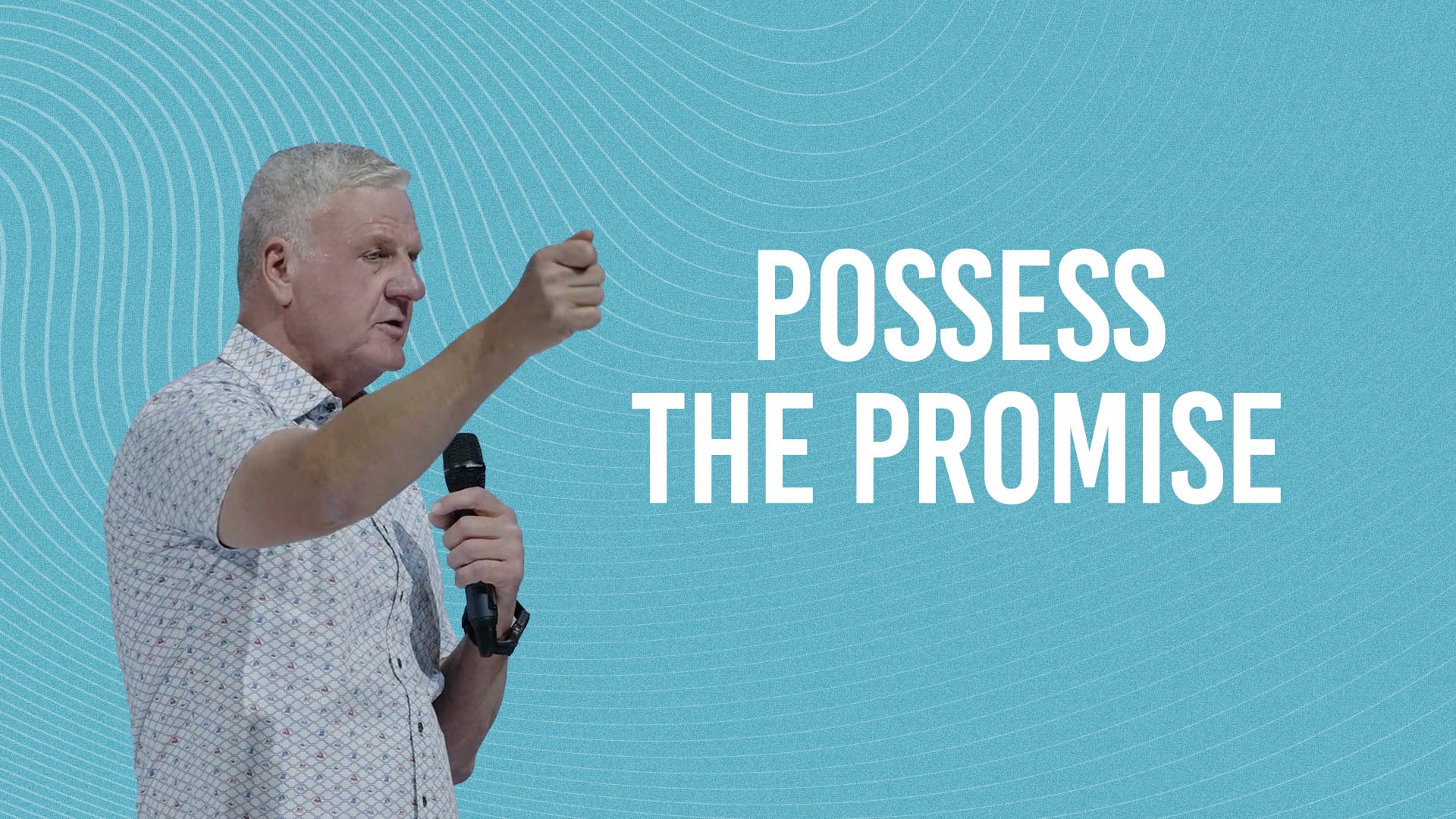 Possess The Promise