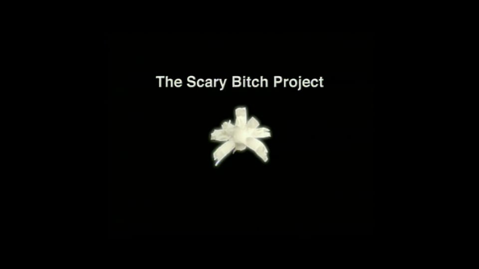 The Scary Bitch Project