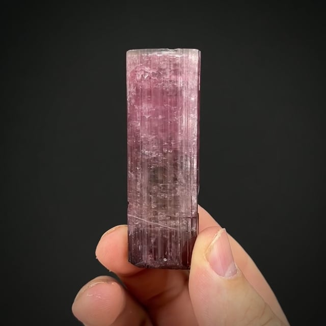 Doubly terminated Tourmaline (RARE California!)