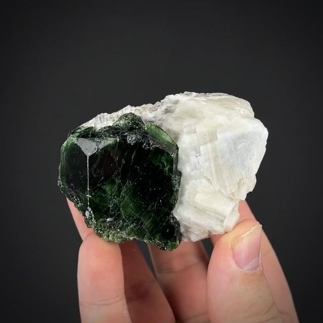 Dravite Tourmaline (Chromium-bearing) on Calcite