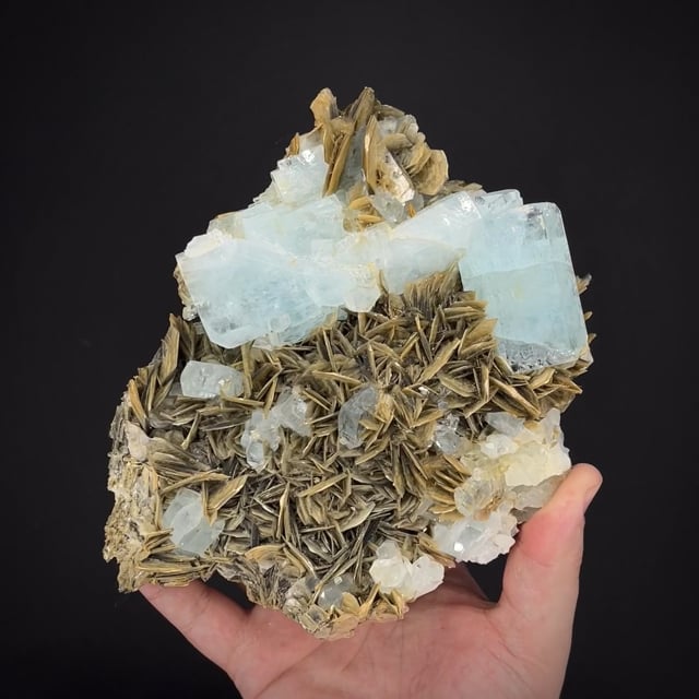 Aquamarine on Muscovite (New Find)